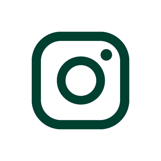 InstaIcon